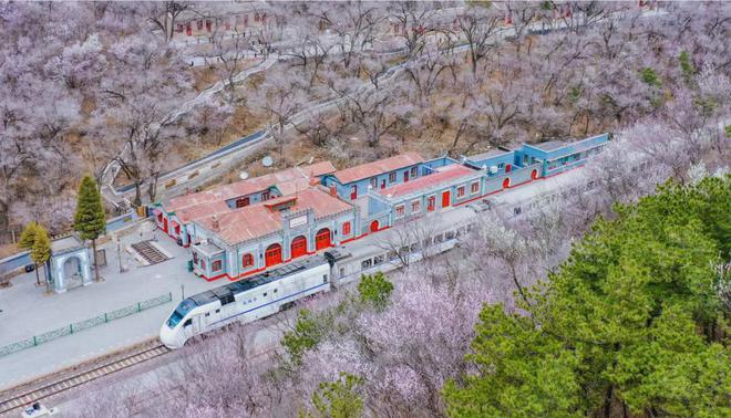荐的攻略、路线就看这一篇j9平台春游来延庆~推(图11)
