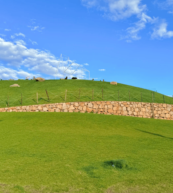 子程2025必去景点+费用明细私人导游体验超赞j9国际云南5日游最佳路线定制！云南五天四晚亲(图1)